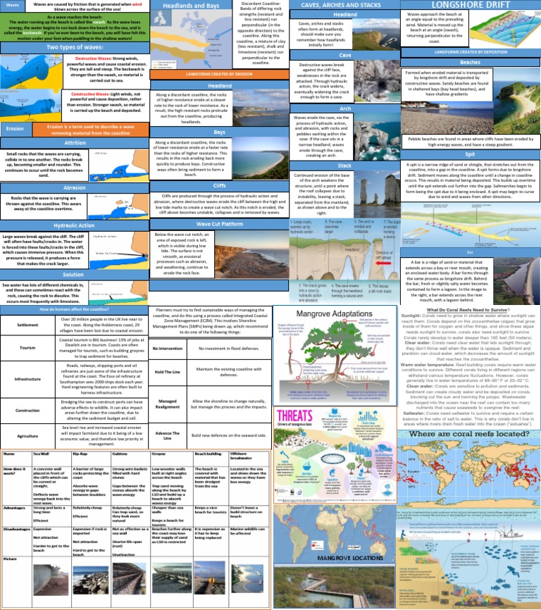 Coastal Processes and Landforms | PDF | Erosion | Coral Reef