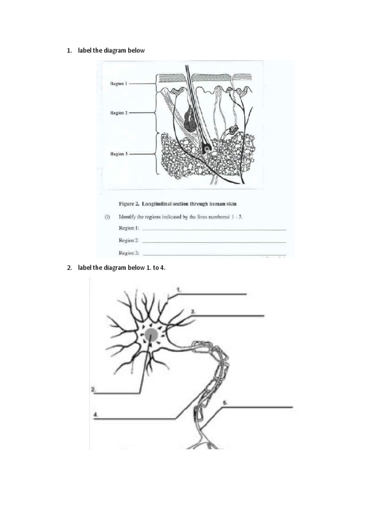 Form 2 Term 2 Mid Pdf Nutrients Health Promotion