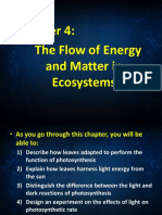 c4 l1 Energy Flow in Ecosystem