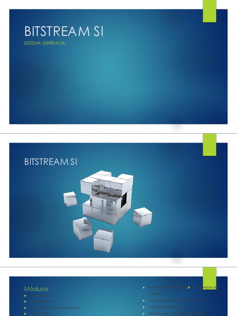 Sistema Gerencial Bitstream SI | PDF | Recibo | Business