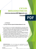 Explicaicón Ciclos Biogeoquimicos