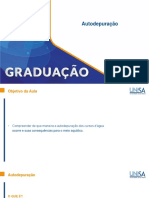 2 07 FAP VACP Autodepuração