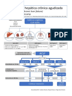 ACLF classificação e prognóstico