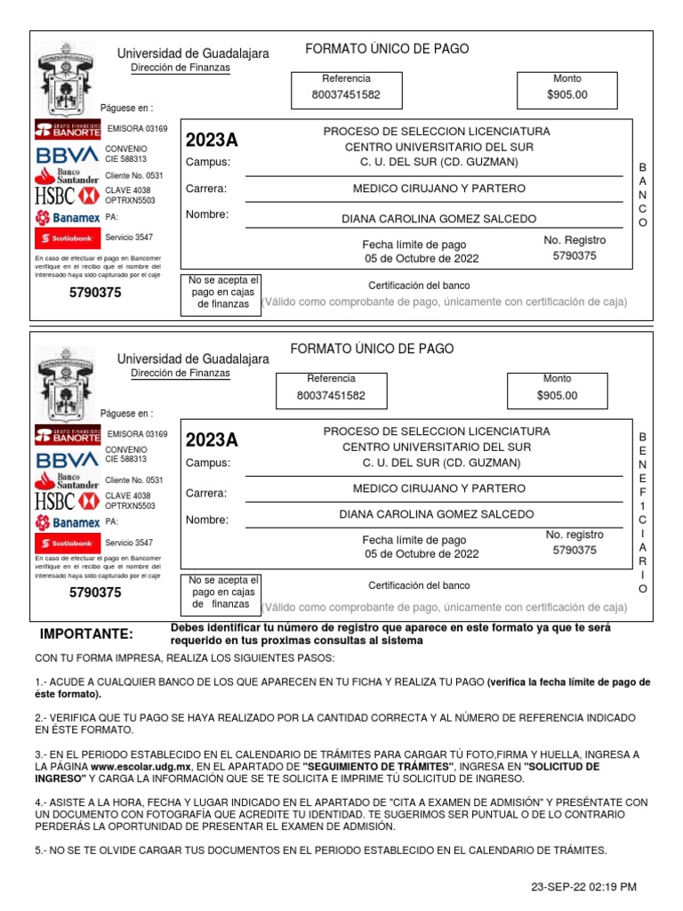Formato De Pago Pdf