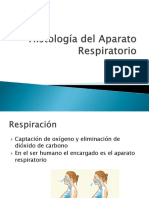 Histología Del Aparato Respiratorio