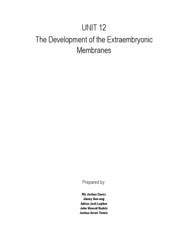 Group 6 Reporting Outline Pdf Anatomy Reproduction