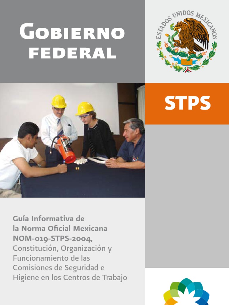 Nom 019 STPS 2004 | PDF