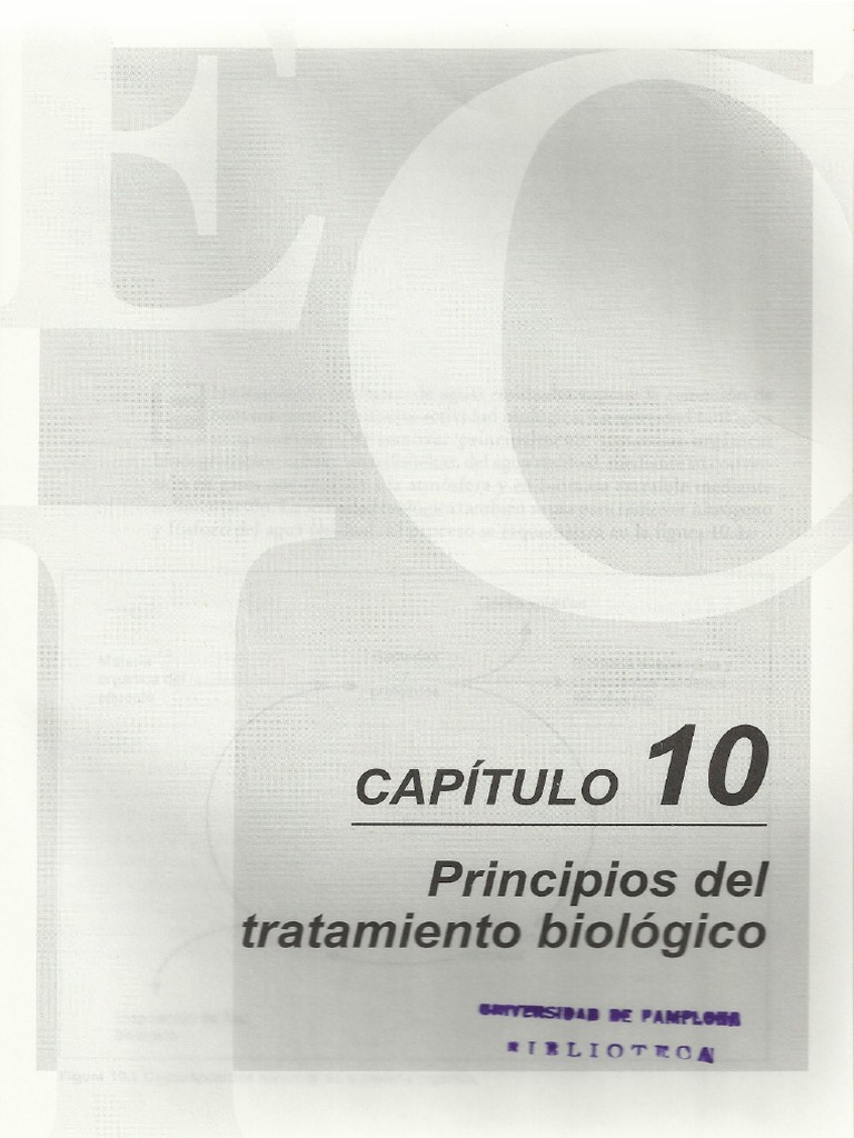 Capitulo 10 11 12 13 | PDF