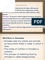 Nutrition in Animals
