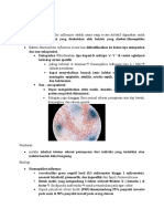 Haemophilus Influenza