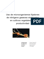 Uso de Microorganismos Fijadores de Nitrógeno Gaseoso Simbiontes en Cultivos Vegetales y Su Productividad