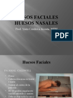 Huesos Faciales