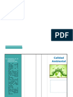 Calidad Ambiental Triptico