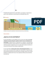 Ciclo Del Fósforo - Concepto, Etapas, Importancia y Alteraciones