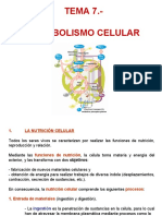 Tema 7 (Metabolismo)