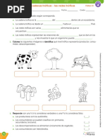 Las Cadenas Troficas - Las Redes Troficas (Alumno)