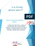 Gémeos Falsos