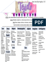 Tejido conectivo: funciones y tipos principales