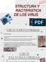 Virus Microbiologia