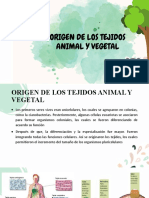 Clase 2 - Tejidos Animales y Vegetales