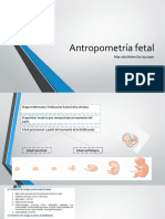 Antropometría Fetal