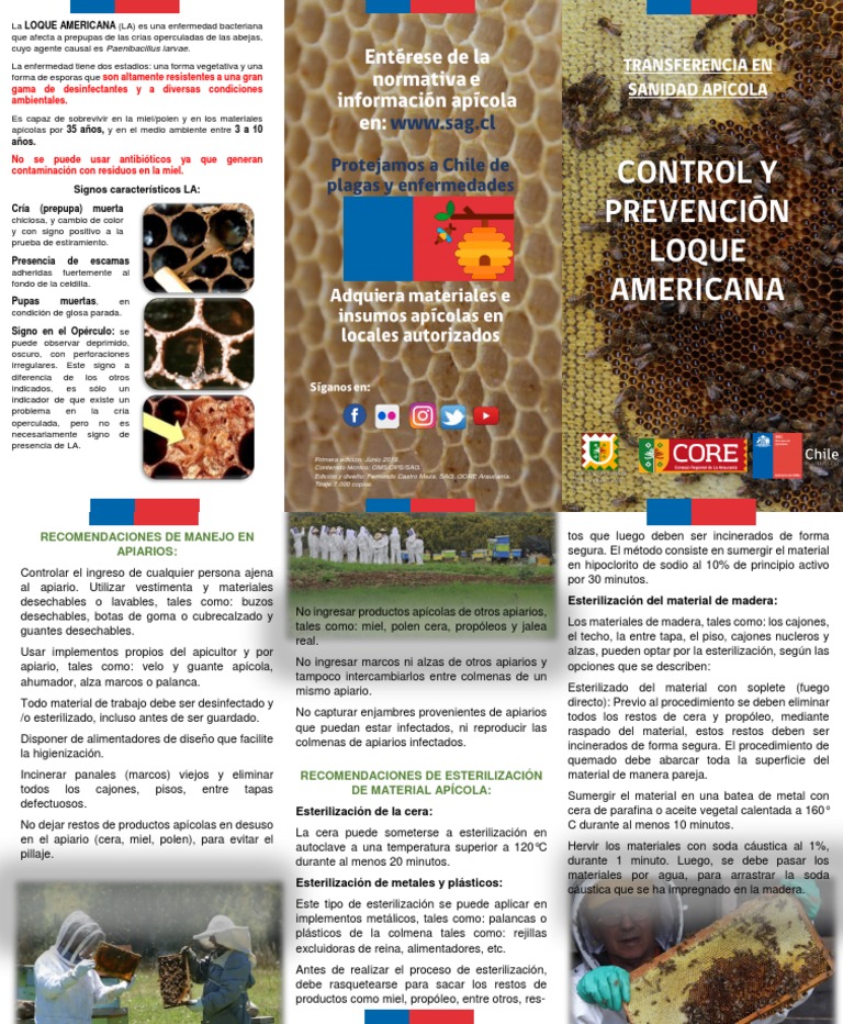 Control y Prevención de Loque Americana | PDF | Animales domesticados ...