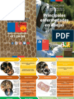 Diptico Principales Enfermedades en Abejas