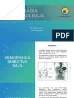 Tema 18 Semiologia Sangrado Digestivo Inferior