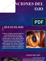 Funciones del ojo: visión, partes y datos curiosos