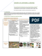 Aparato Excretor de Las Plantas y Animales