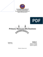 Primary Recovery Mach an Isms