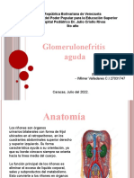 Glomerulonefritis Pediatrico (Wilmer)