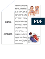 S. Cardiovascular y Urinario