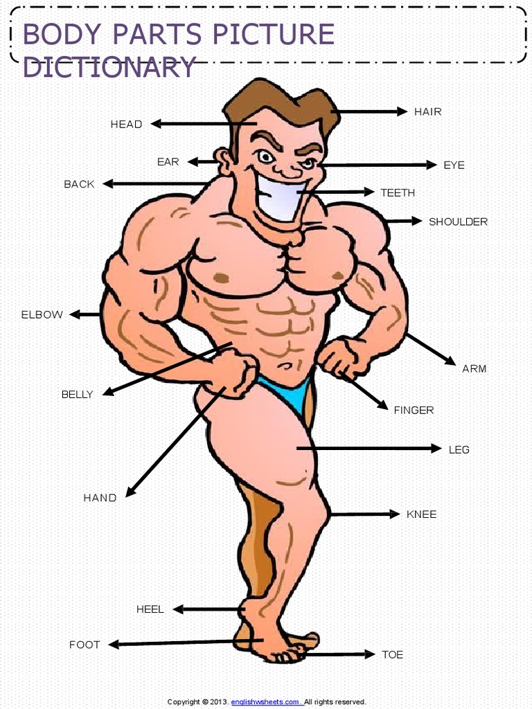 body-parts-pictionary-poster-vocabulary-worksheetpdf-pdf