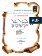 Acidos Nucleicos