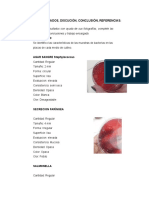 Informe 6