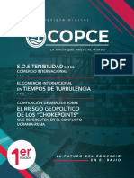 Revista COPCE P3