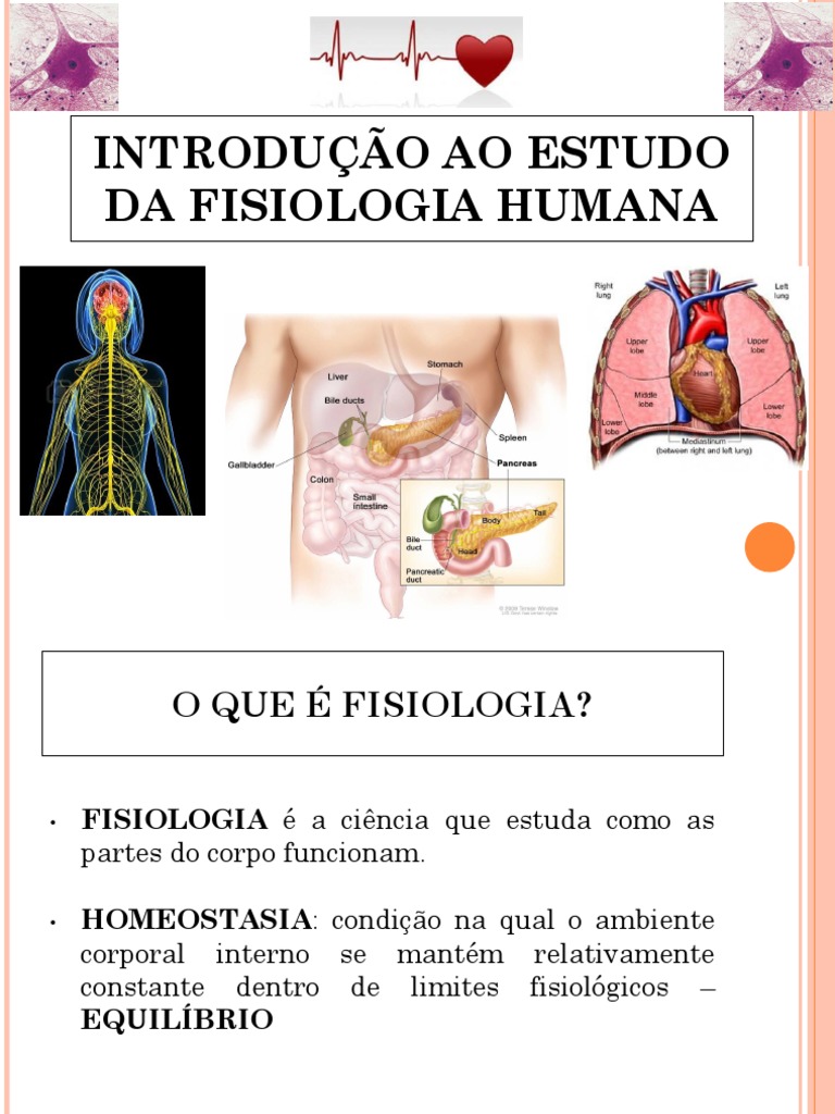 Introdução à Fisiologia Humana | PDF | Corpo humano | Metabolismo