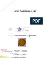 Infecciones Neumococicas