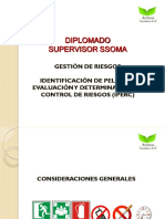 Identificación de Peligros y Evaluación de Riesgos PDF