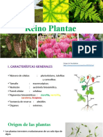 Reino Plantae