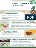 Infografia Origen de La Vida