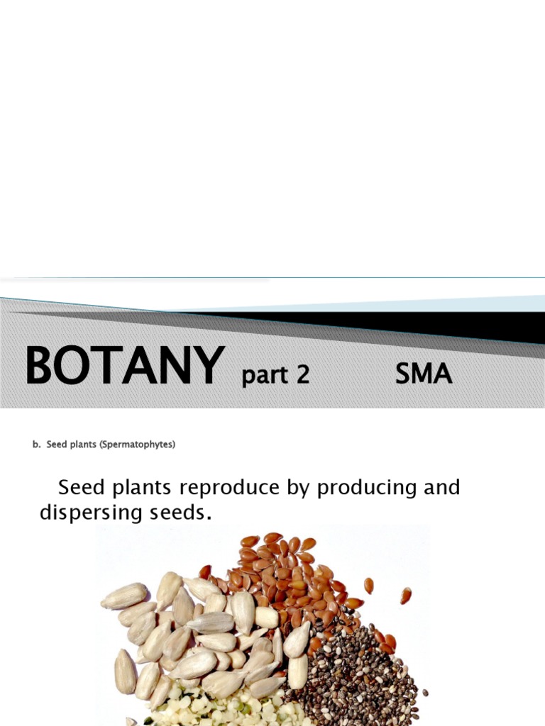 Grade 10-8 Botany - Part2 | PDF | Home & Garden | Science & Mathematics