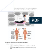 Stretching Exercises Explained
