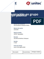 Tarea 5.1 Comunicación en Grupo Ante Un Público