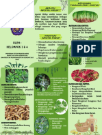 Leaflet Apotik Hidup