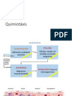 Quimiotaxis y Fagocitosis
