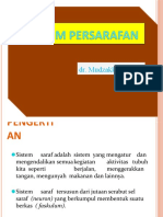 Persyarafan