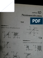 10 Programación Lineal