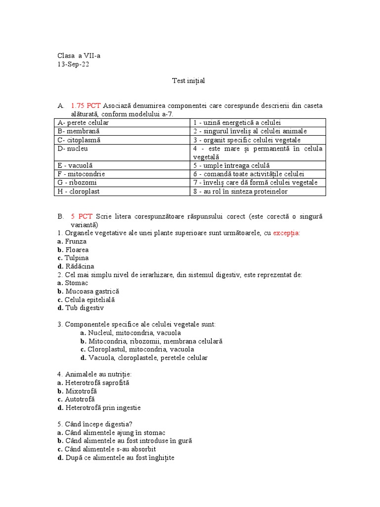 Test Initial - 7B | PDF